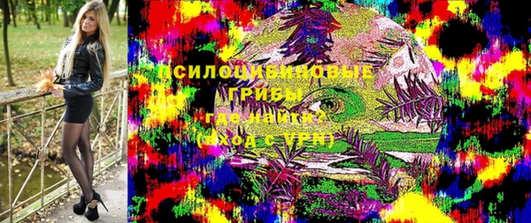 марки nbome Белокуриха