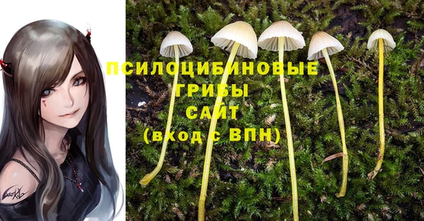 гидропоника Беломорск