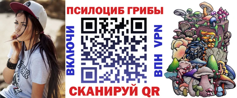 MEGA вход  сколько стоит  Вязники  Псилоцибиновые грибы MAGIC MUSHROOMS 